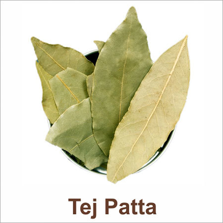 Kb Tej Patta